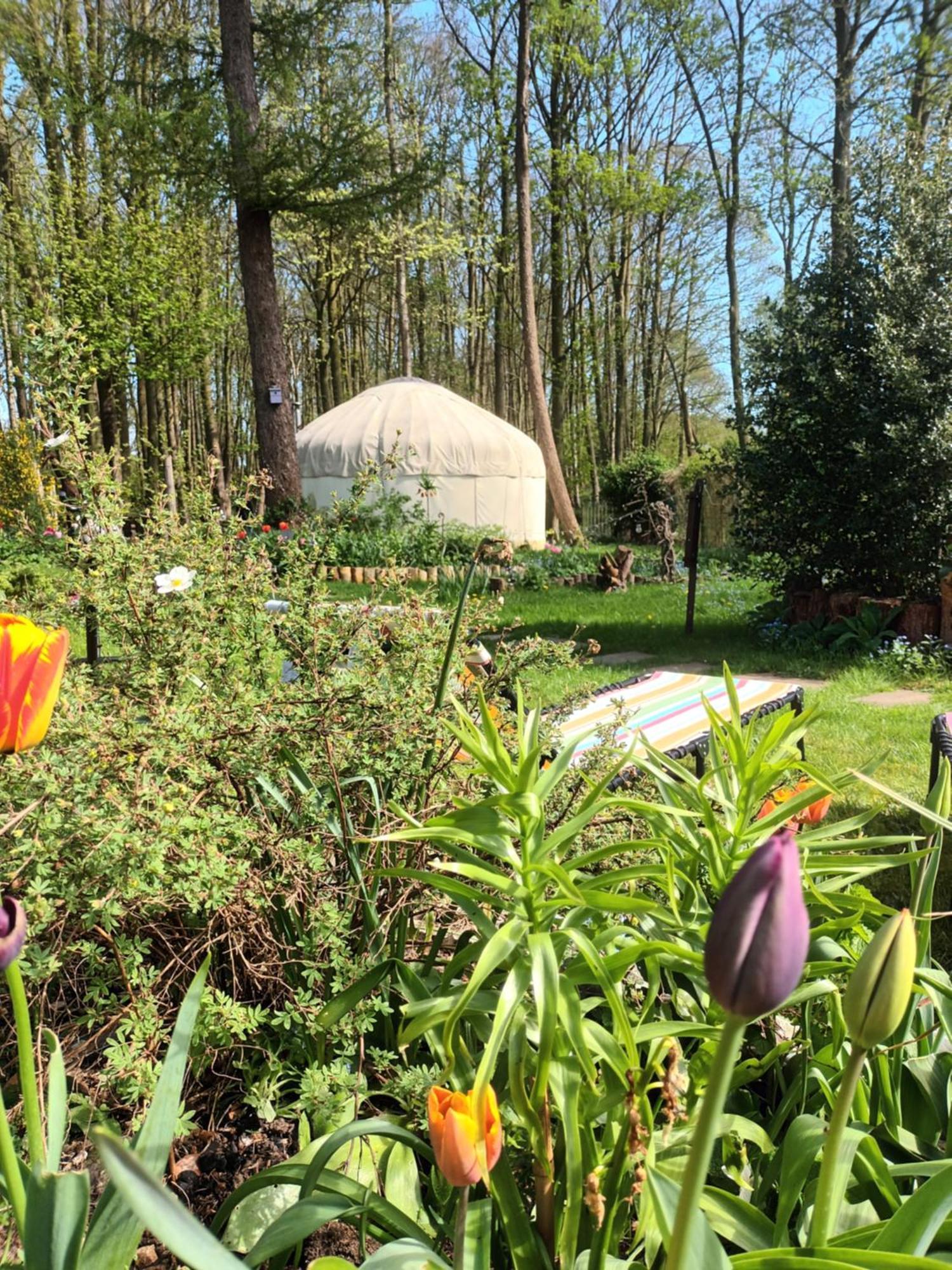 Luxury tent Gingerbread Yurts *