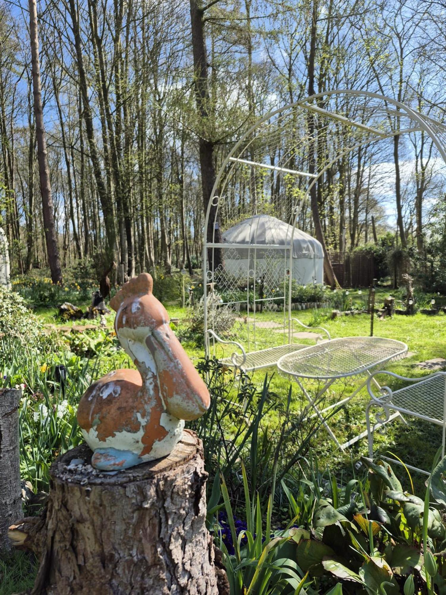 Gingerbread Yurts Dereham