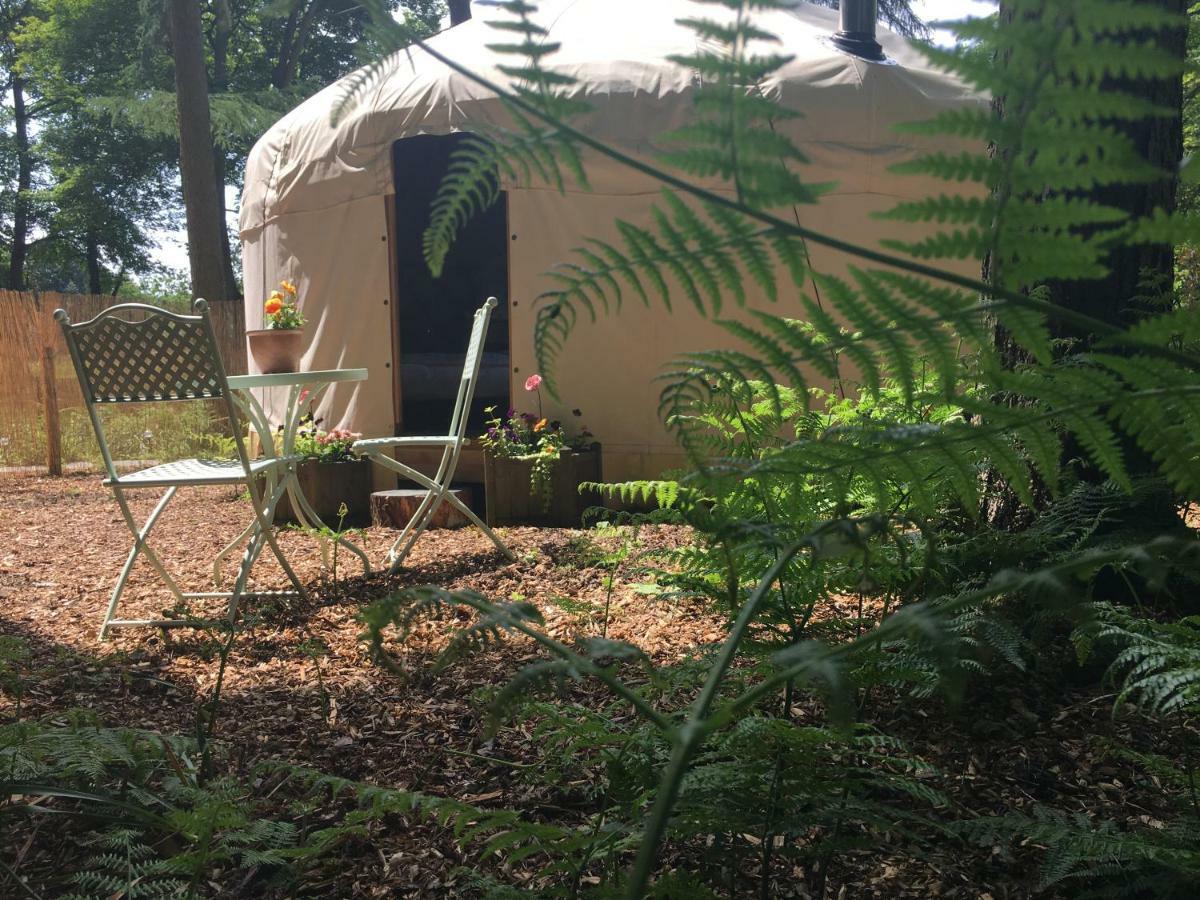 Gingerbread Yurts *