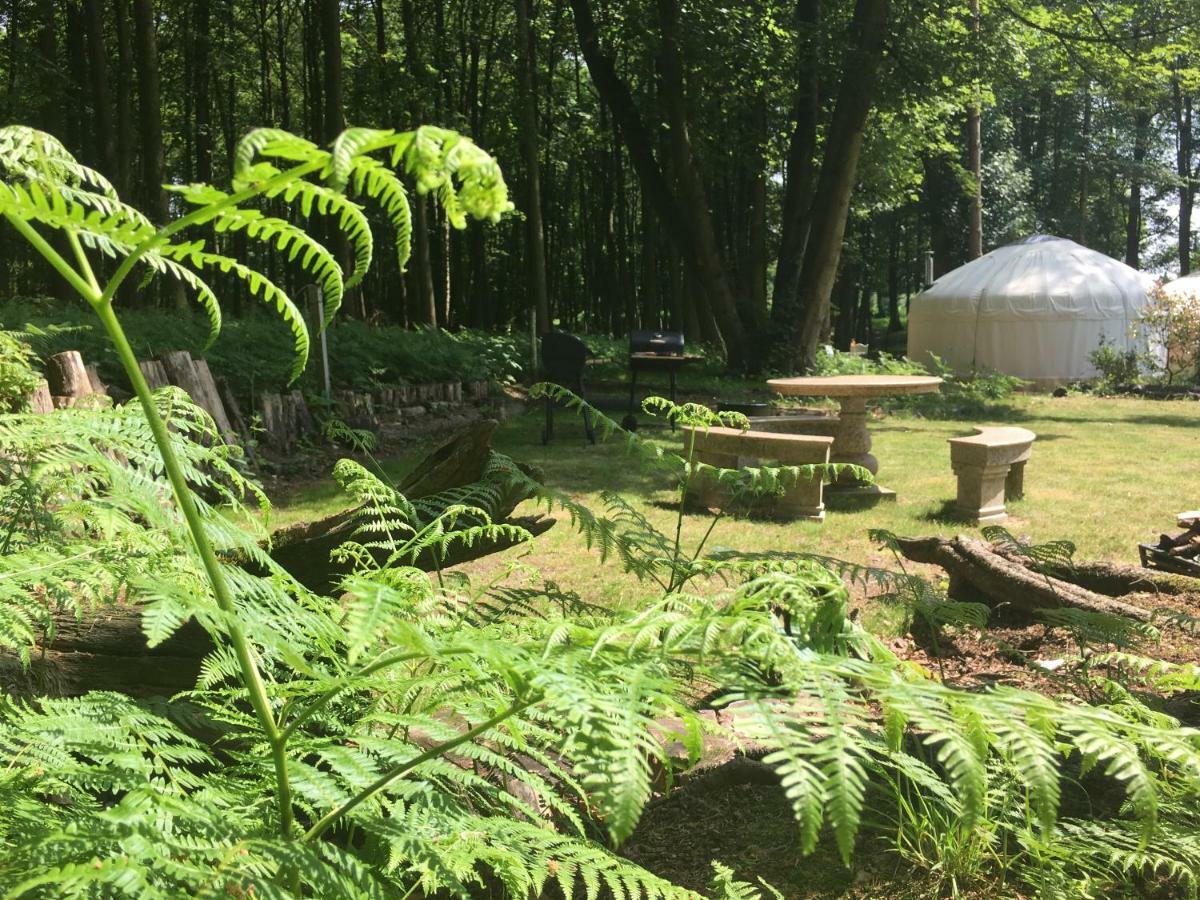 Gingerbread Yurts