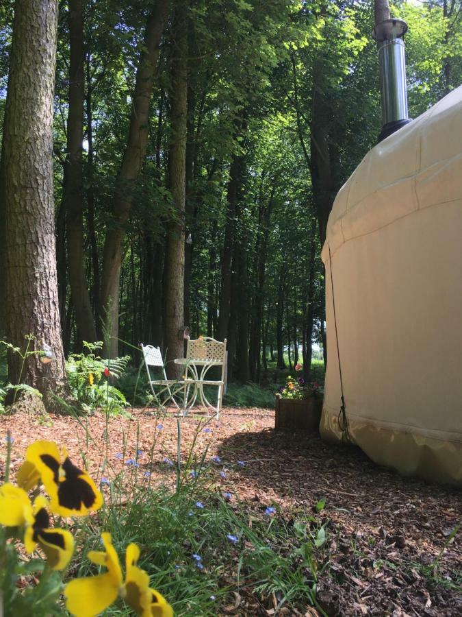 Gingerbread Yurts *